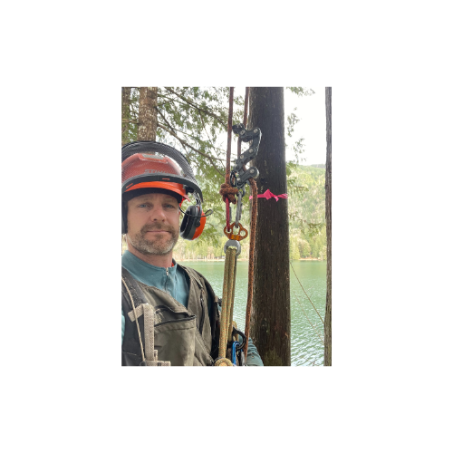 Trunk & Limb Tree Services